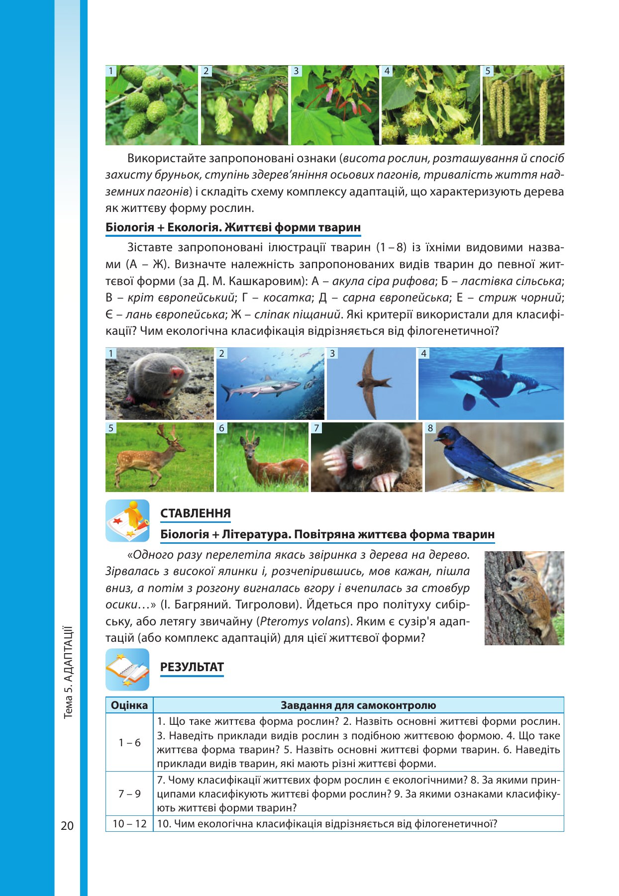Сторінка PDF 20