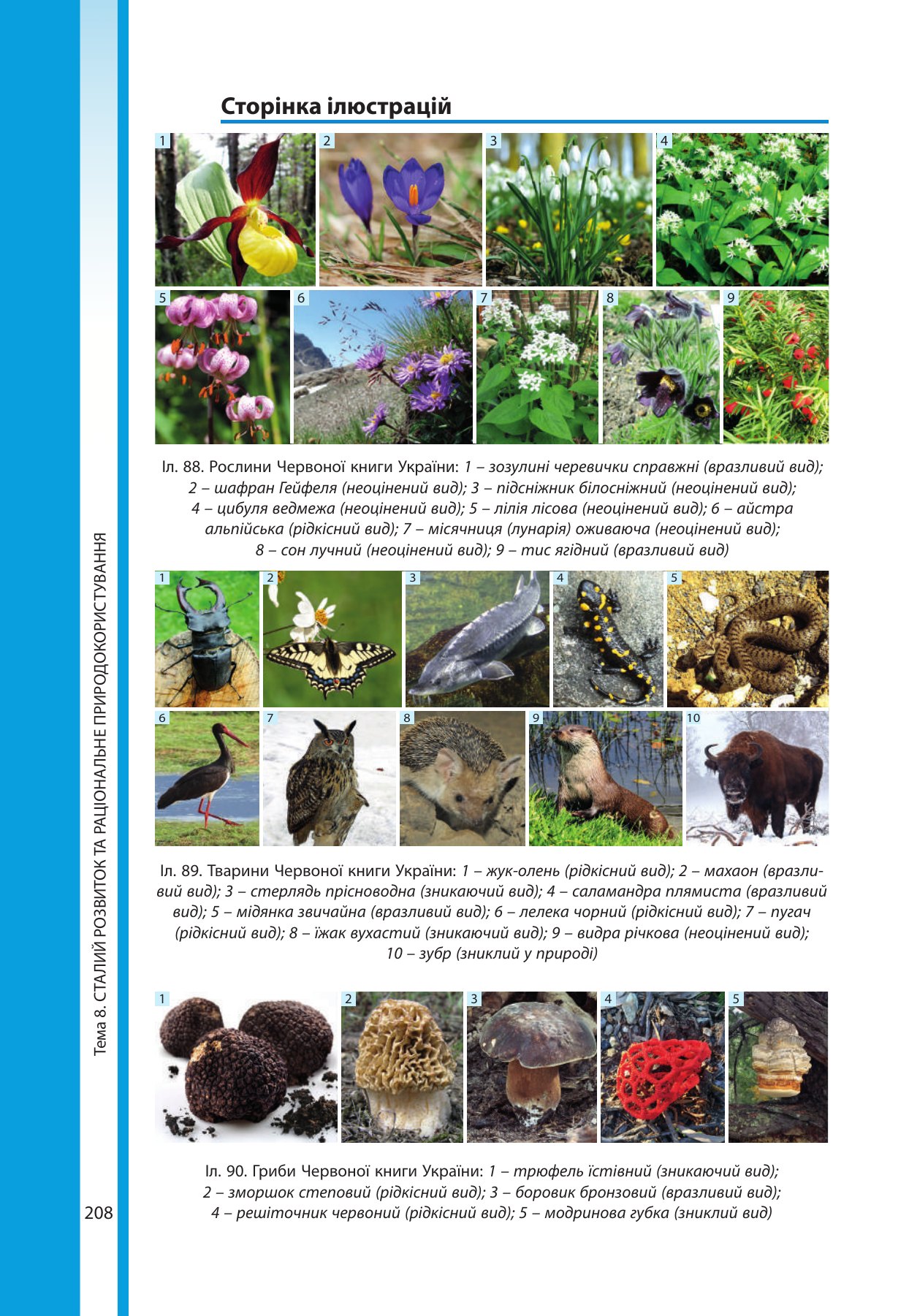 Сторінка PDF 208