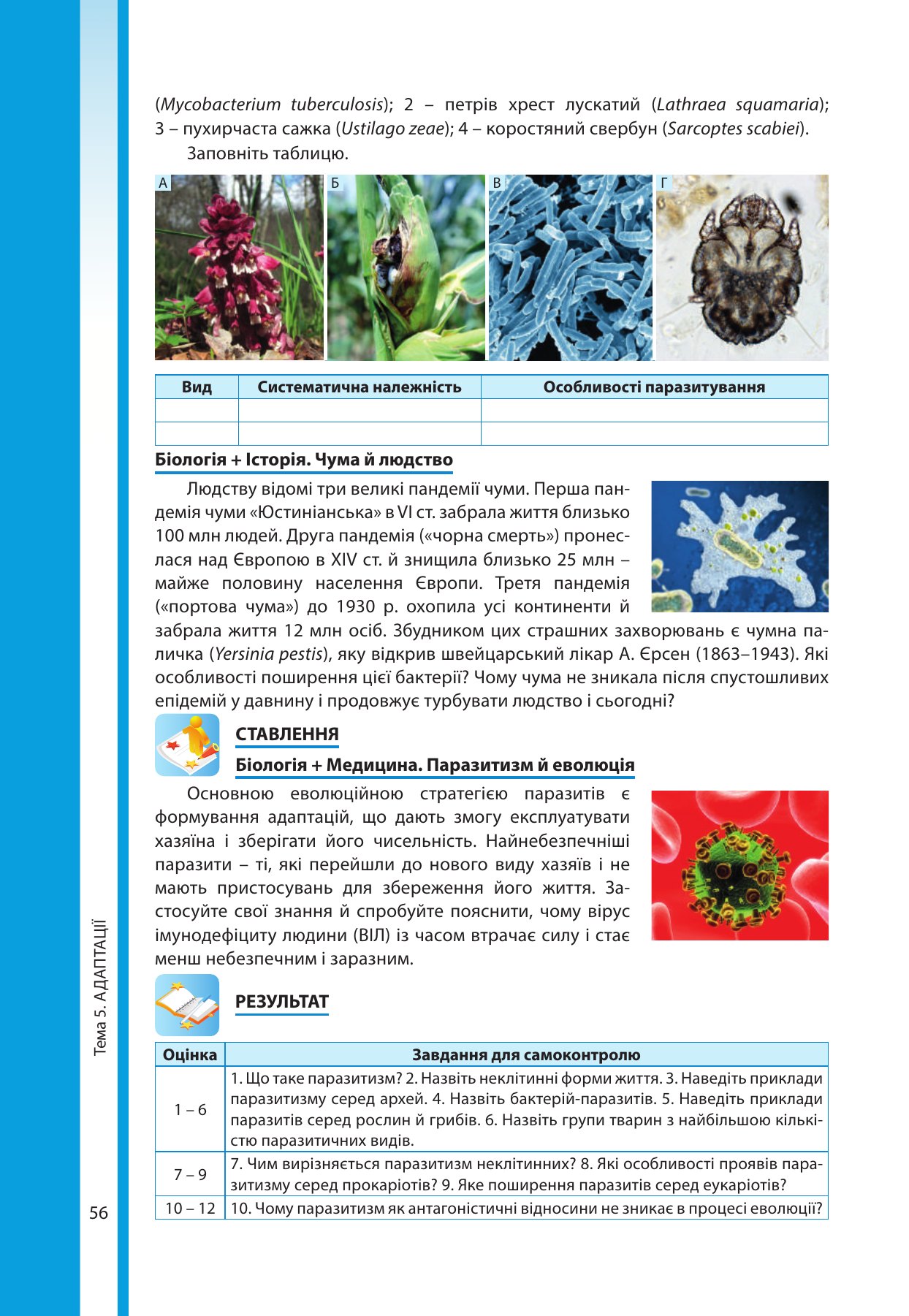 Сторінка PDF 56